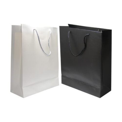 ab 01 paper bag 679108f9e7259