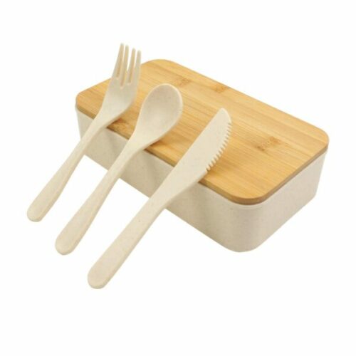 eco-friendly-lunch-box_6792669debace eco friendly lunch box 6792669debace