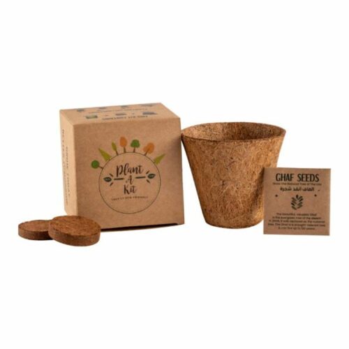plantable kit with ghaf seeds in kraft box 67925384948d9