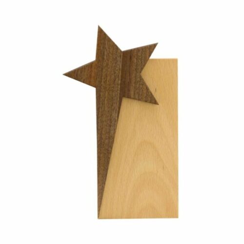 star-design-wooden-trophy-award-with-gift-box_679257c73c18d star design wooden trophy award with gift box 679257c73c18d